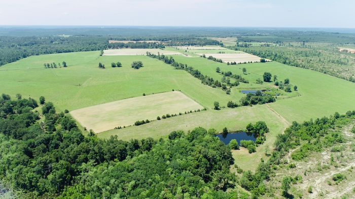 28.8 Acres of Land