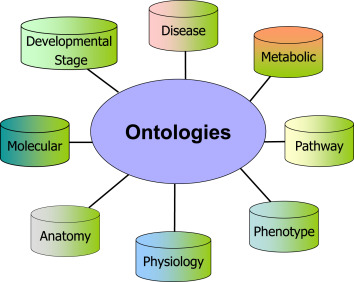 Ontologically Definition